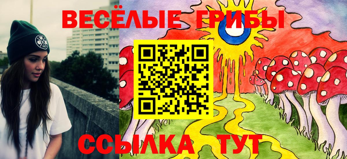 Псилоцибиновые грибы прущие грибы  Псилоцибиновые грибы GOLDEN TEACHER  Долгопрудный  Вход с VPN 