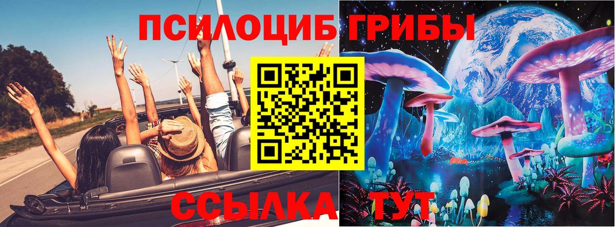 Псилоцибиновые грибы мицелий Долгопрудный